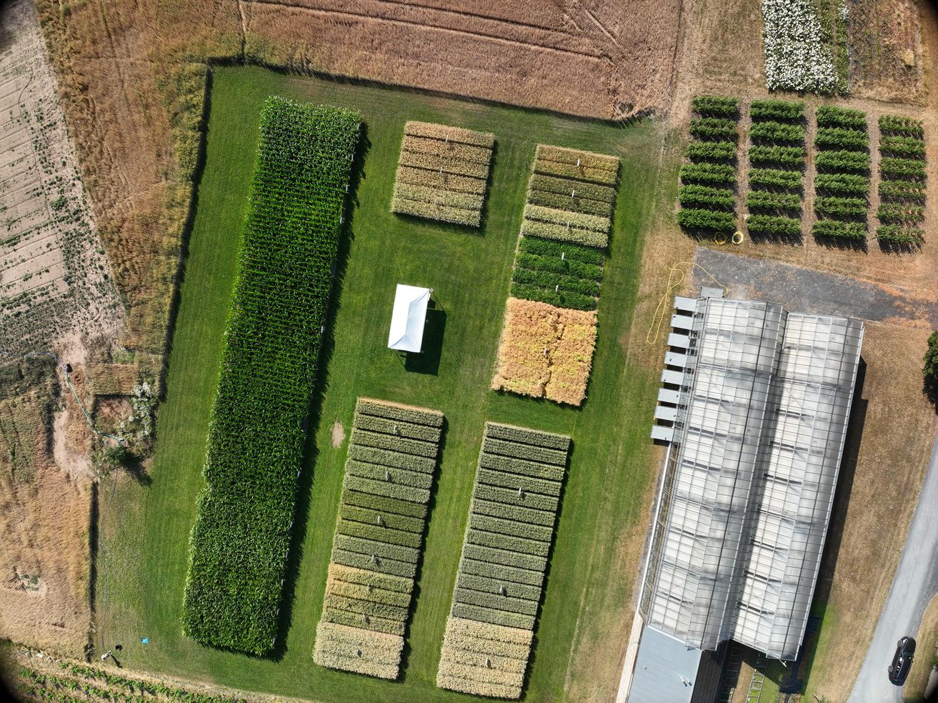 DJI_20250701093421_0006_D
