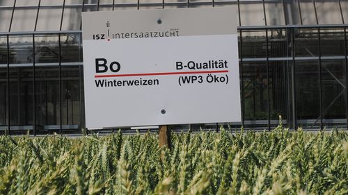 P7010047_Kopie