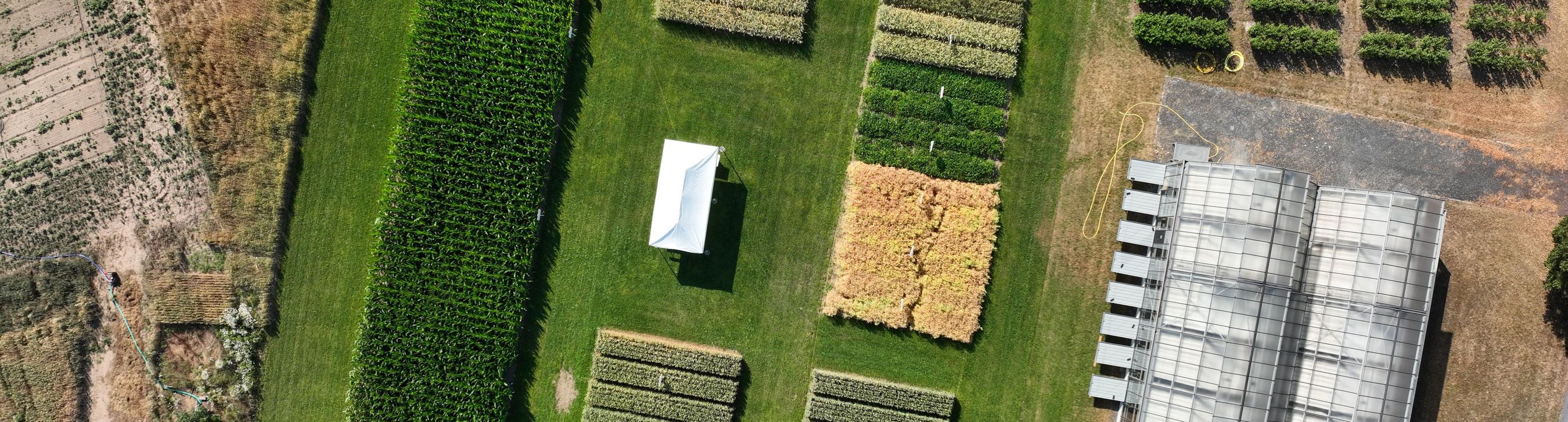 DJI_20250701093421_0006_D_Kopie