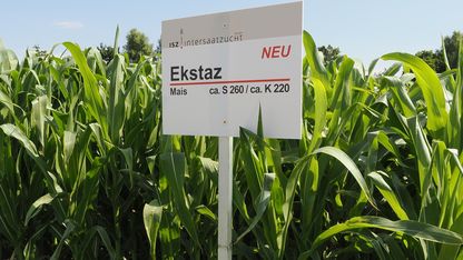 P7010076_Kopie